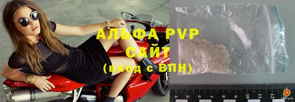 хмурый Белокуриха