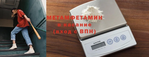 прущие грибы Богданович