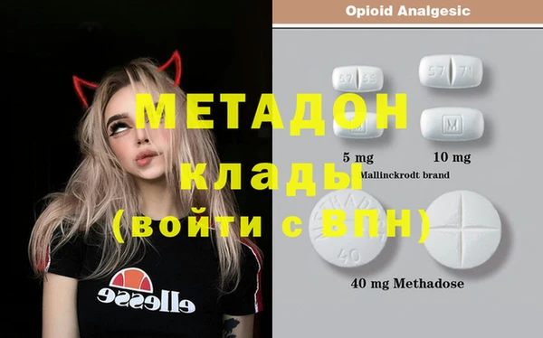 прущие грибы Богданович