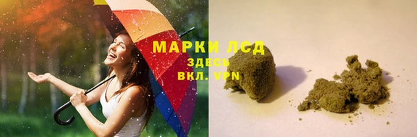 хмурый Белокуриха