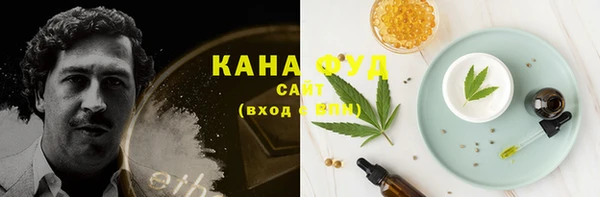 хмурый Белокуриха