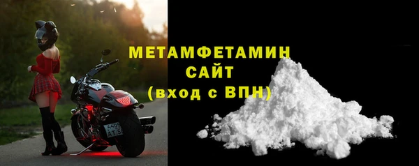 прущие грибы Богданович