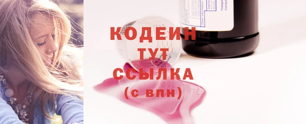 хмурый Белокуриха