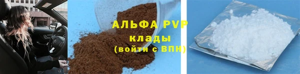 прущие грибы Богданович