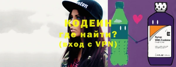 хмурый Белокуриха