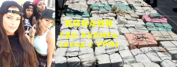 хмурый Белокуриха
