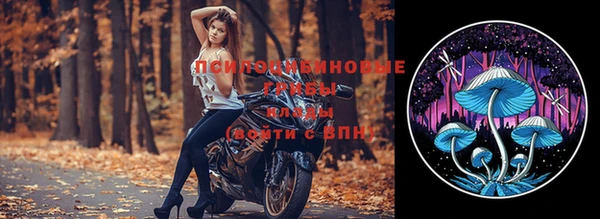 прущие грибы Богданович