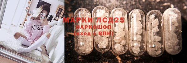 прущие грибы Богданович