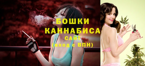 метадон Богородицк